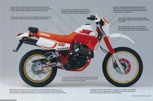 Graphic kit for - kit,