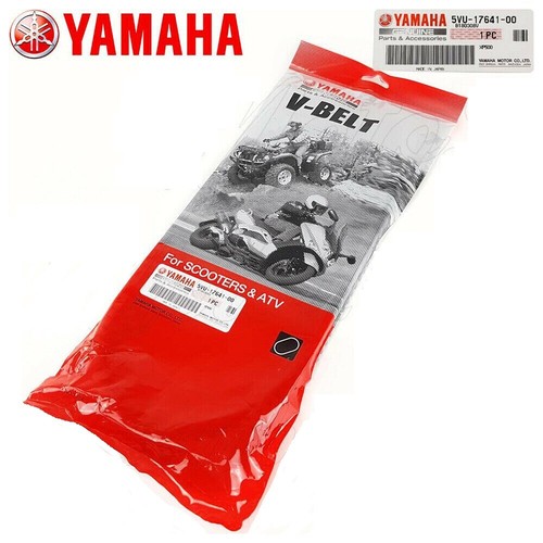 Cinghia variatore originale - cinghia,