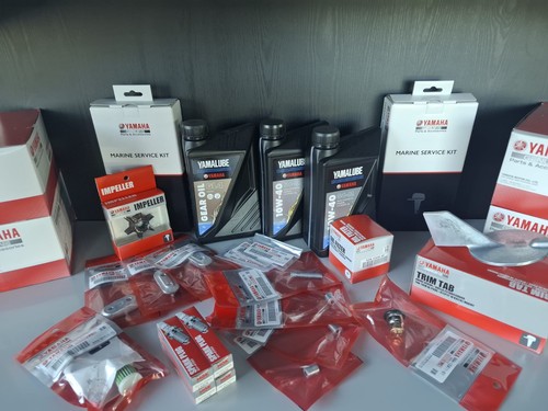Kit tagliando originale - kit,